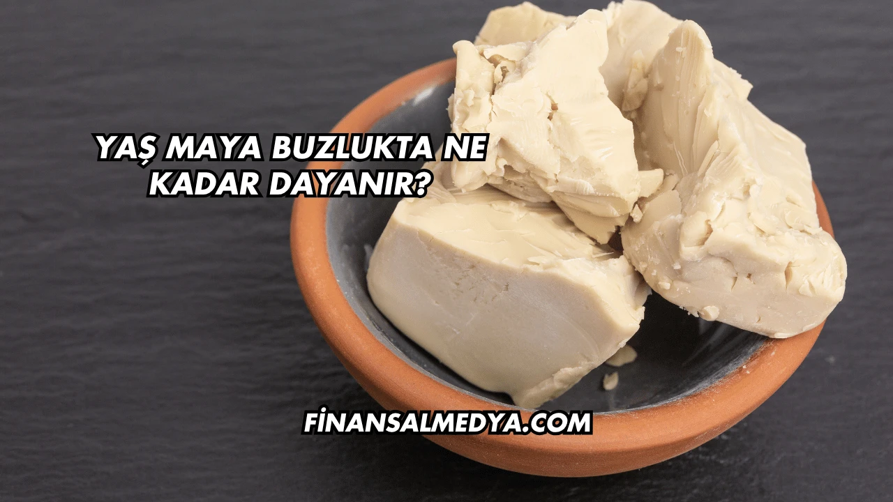 Yaş Maya Buzlukta Ne Kadar Dayanır?