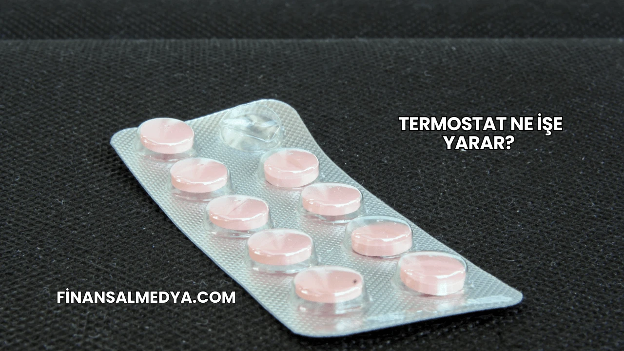 Termostat Ne İşe Yarar?