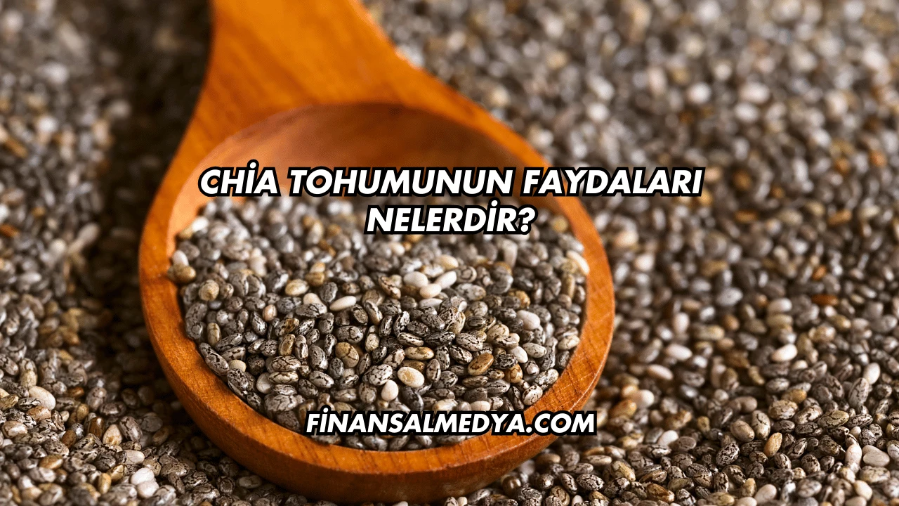 Chia Tohumunun Faydaları Nelerdir?