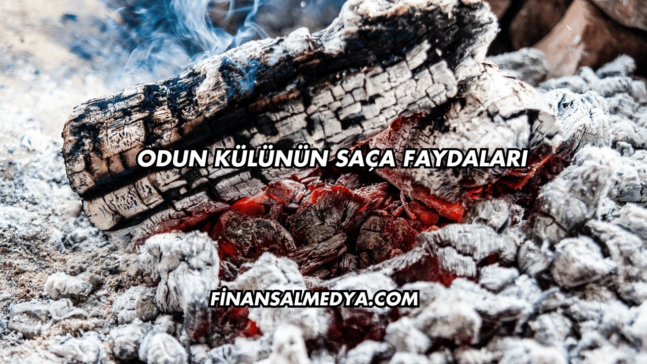 Odun Külünün Saça Faydaları