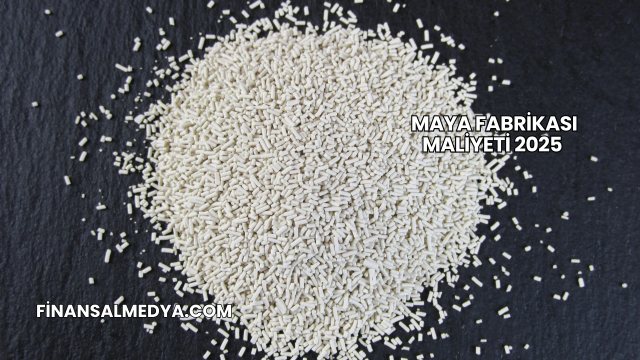 Maya Fabrikası Maliyeti 2025