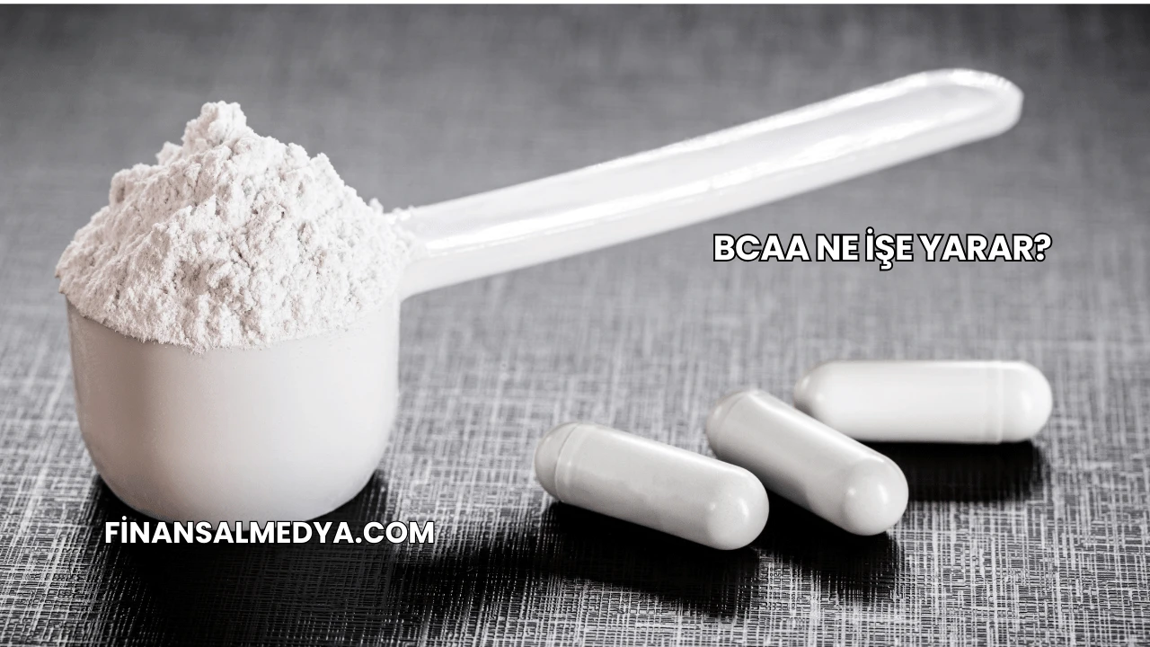 BCAA Ne İşe Yarar?