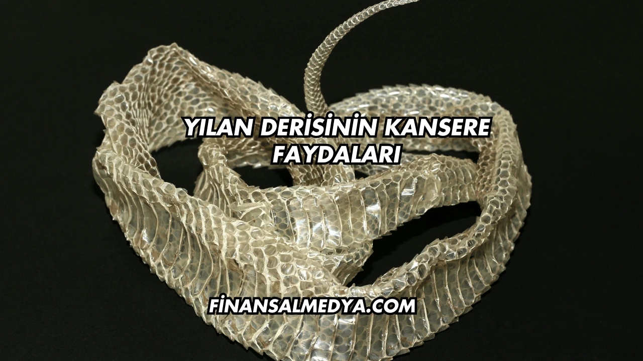 Yılan Derisinin Kansere Faydaları