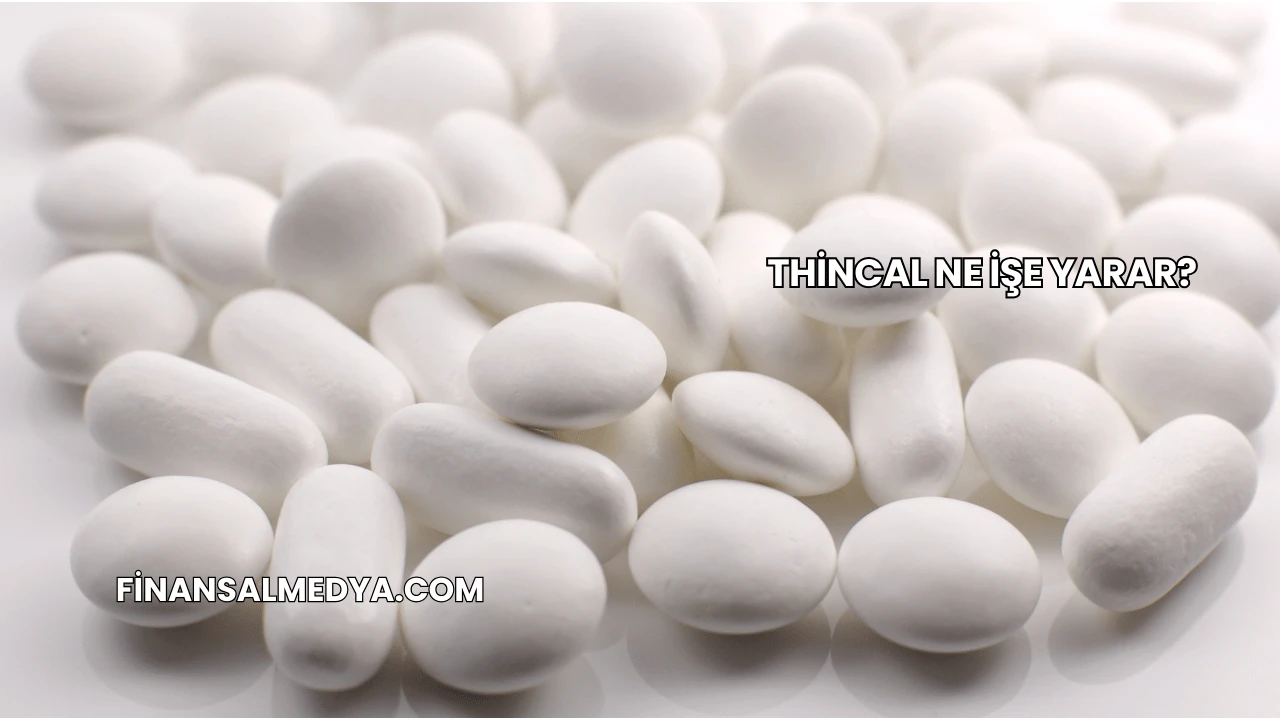 Thincal Ne İşe Yarar?
