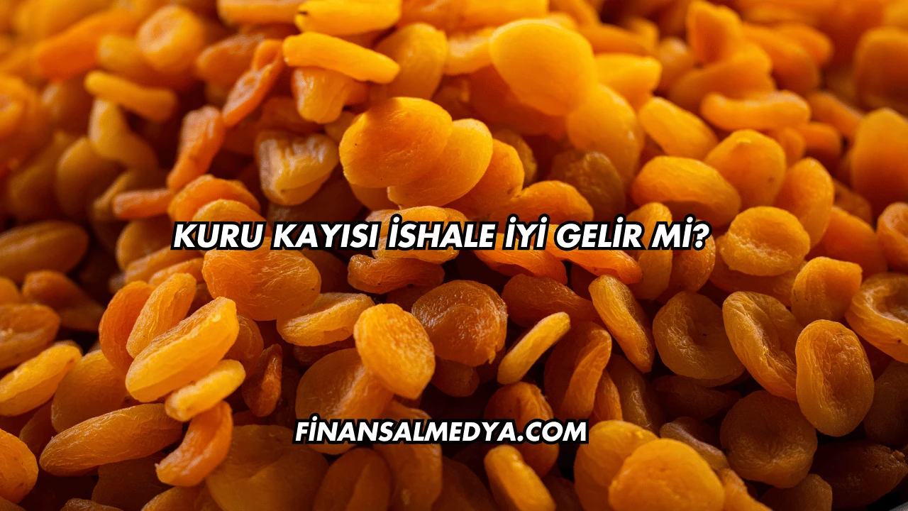Kuru Kayısı İshale İyi Gelir mi?