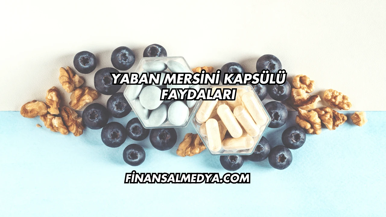 Yaban Mersini Kapsülü Faydaları