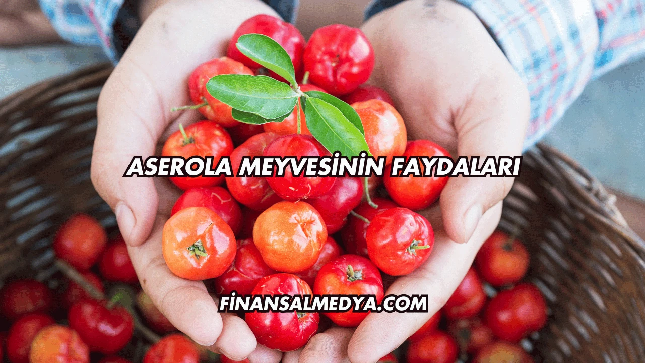 Aserola Meyvesinin Faydaları