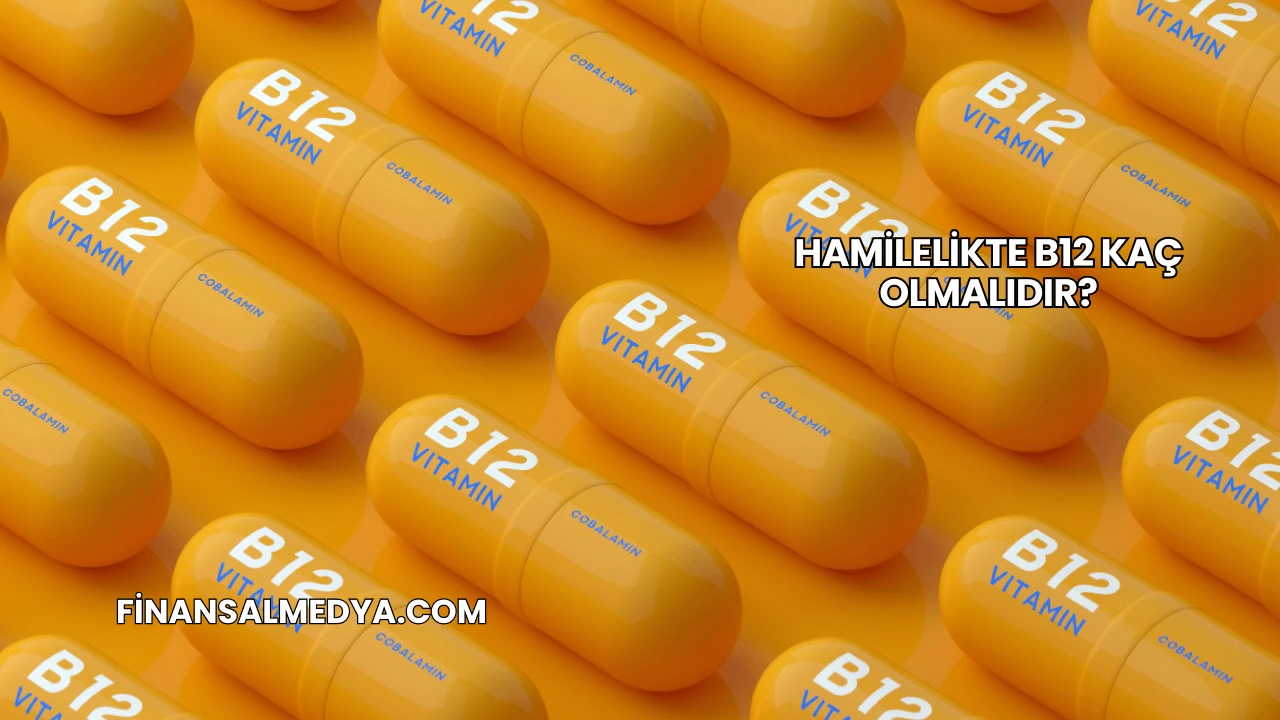 Hamilelikte B12 Kaç Olmalıdır?