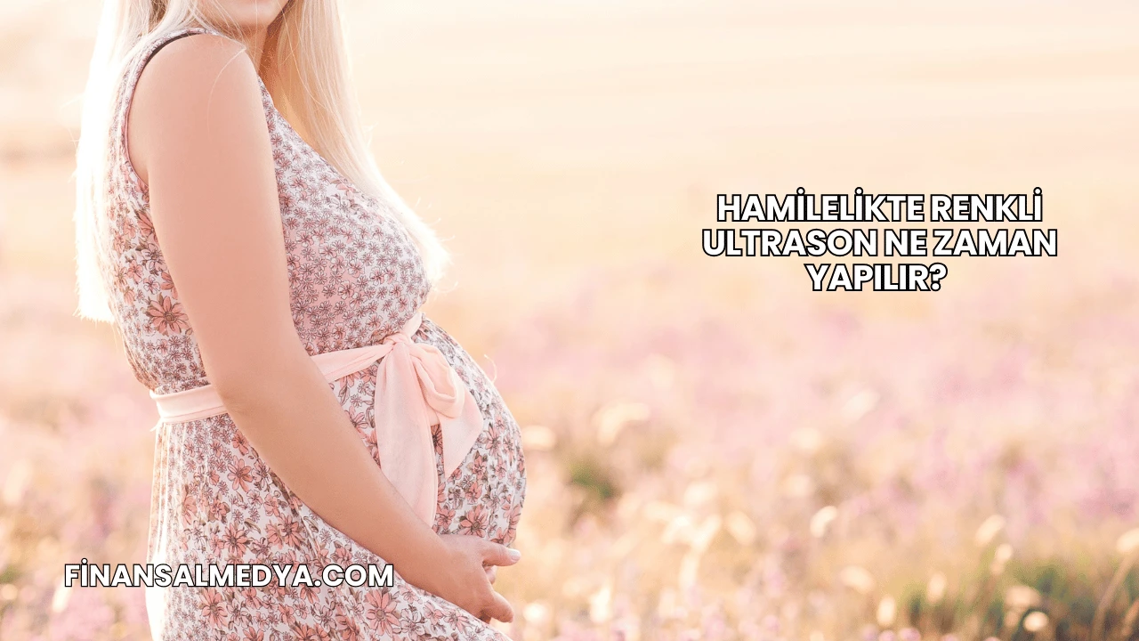 Hamilelikte Renkli Ultrason Ne Zaman Yapılır?