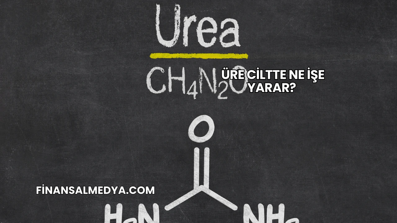 Üre Ciltte Ne İşe Yarar?