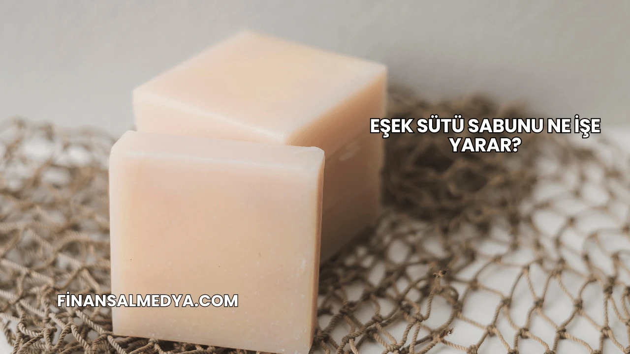Eşek Sütü Sabunu Ne İşe Yarar?