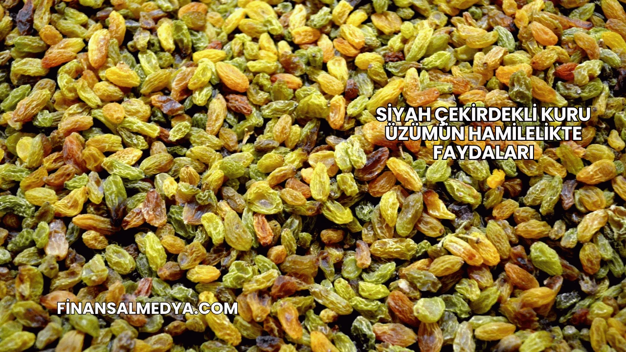 Siyah Çekirdekli Kuru Üzümün Hamilelikte Faydaları