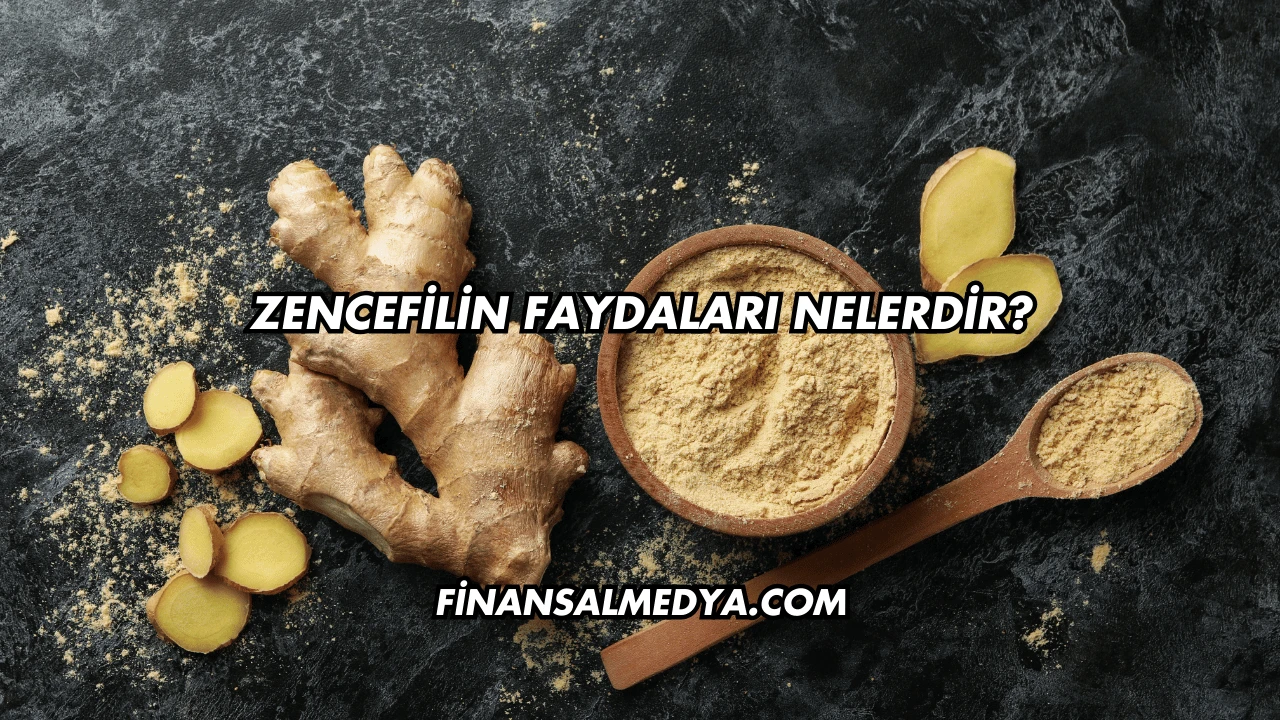 Zencefilin Faydaları Nelerdir?