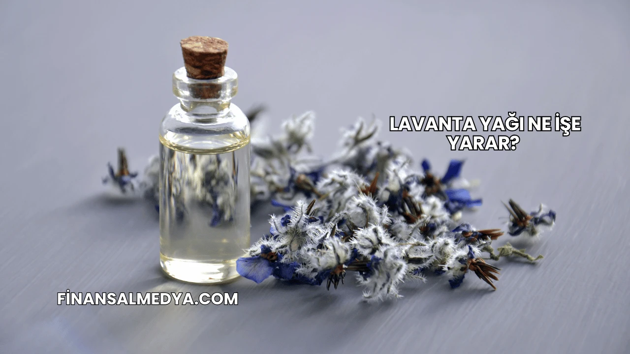 Lavanta Yağı Ne İşe Yarar?