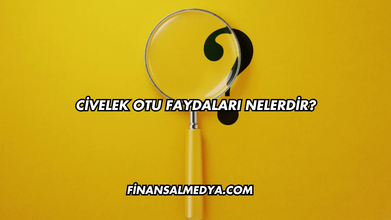 Civelek Otu Faydaları Nelerdir?
