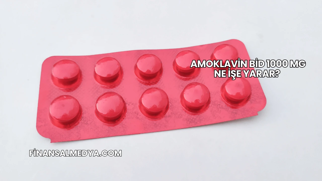 Amoklavin Bid 1000 Mg Ne İşe Yarar?