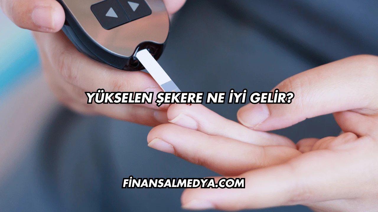 Yükselen Şekere Ne İyi Gelir?