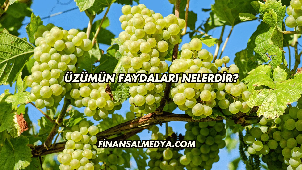 Üzümün Faydaları Nelerdir?