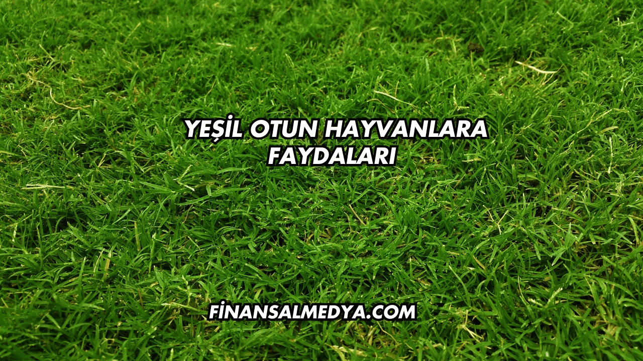 Yeşil Otun Hayvanlara Faydaları