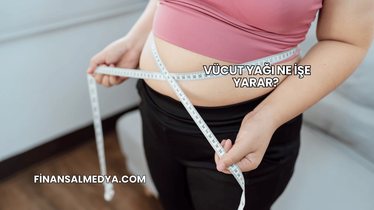 Vücut Yağı Ne İşe Yarar?