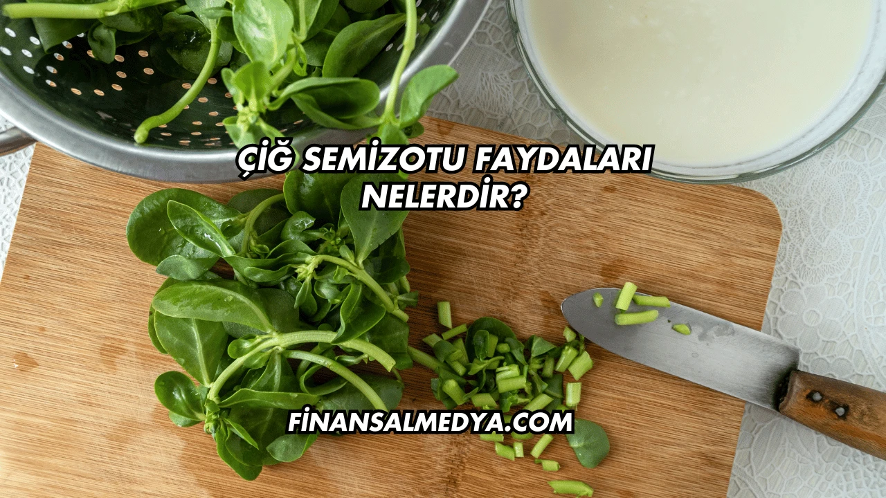 Çiğ Semizotu Faydaları Nelerdir?
