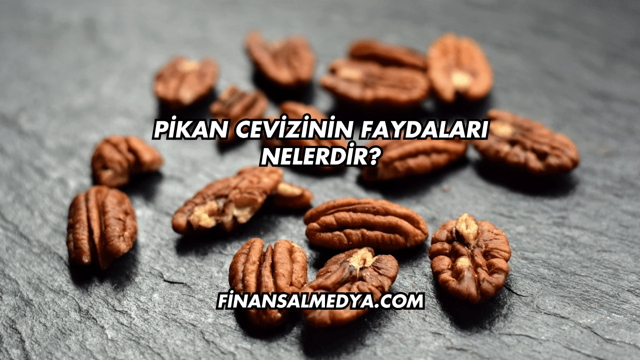 Pikan Cevizinin Faydaları Nelerdir?