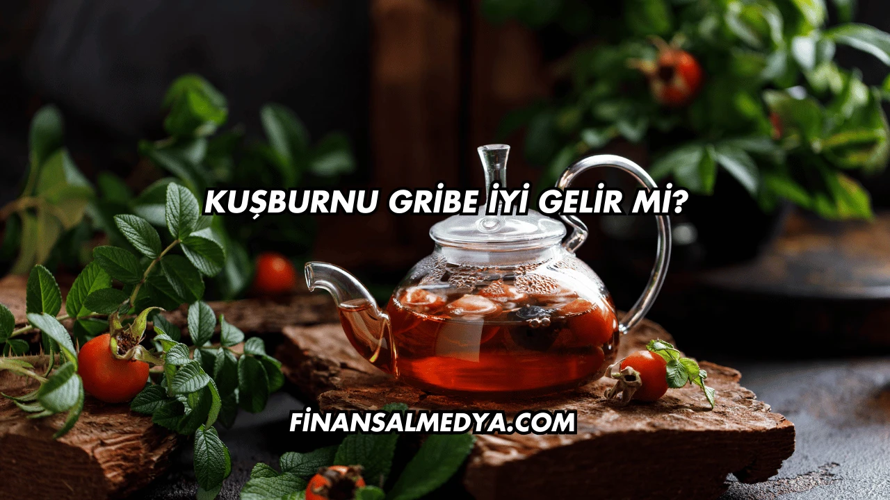 Kuşburnu Gribe İyi Gelir mi?