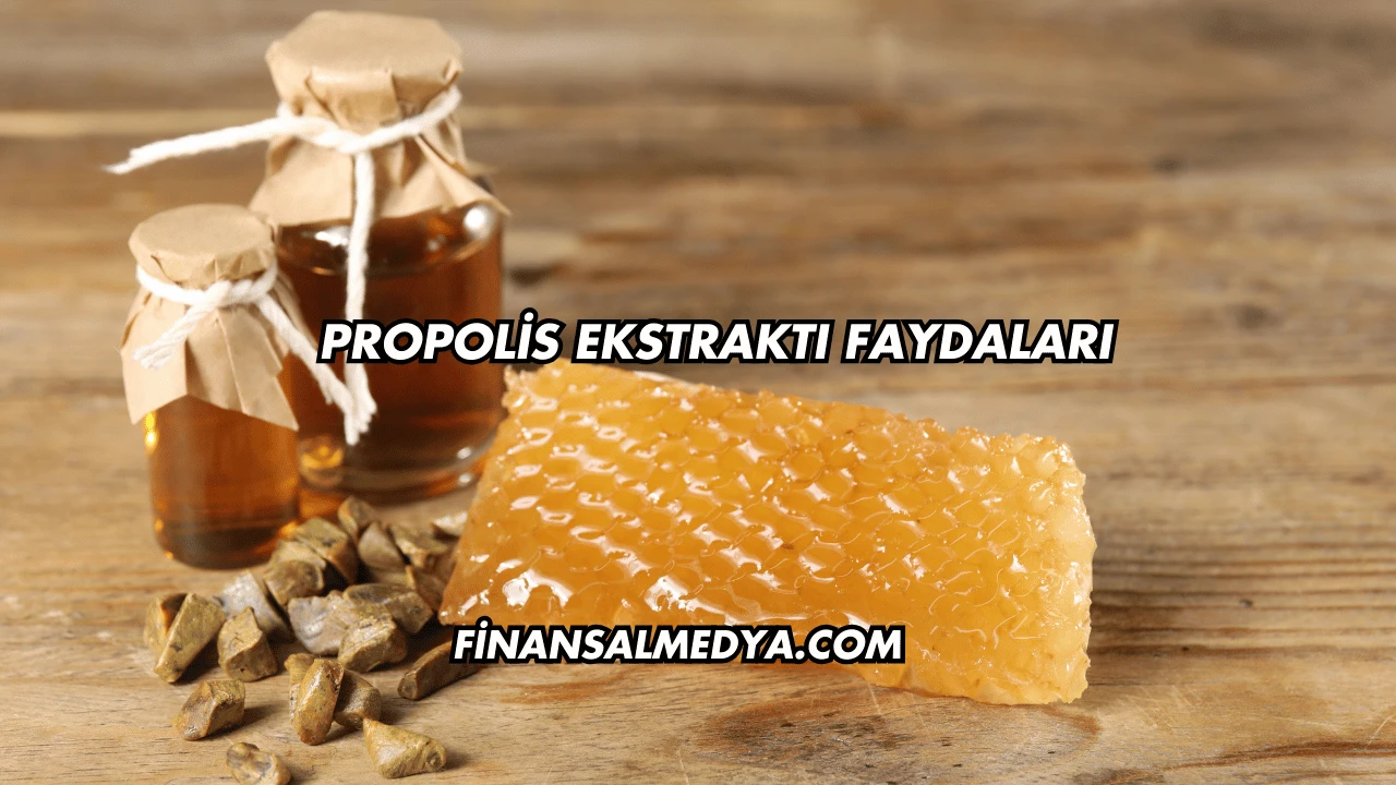 Propolis Ekstraktı Faydaları