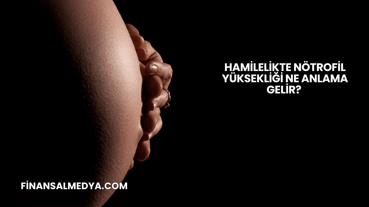 Hamilelikte Nötrofil Yüksekliği Ne Anlama Gelir?