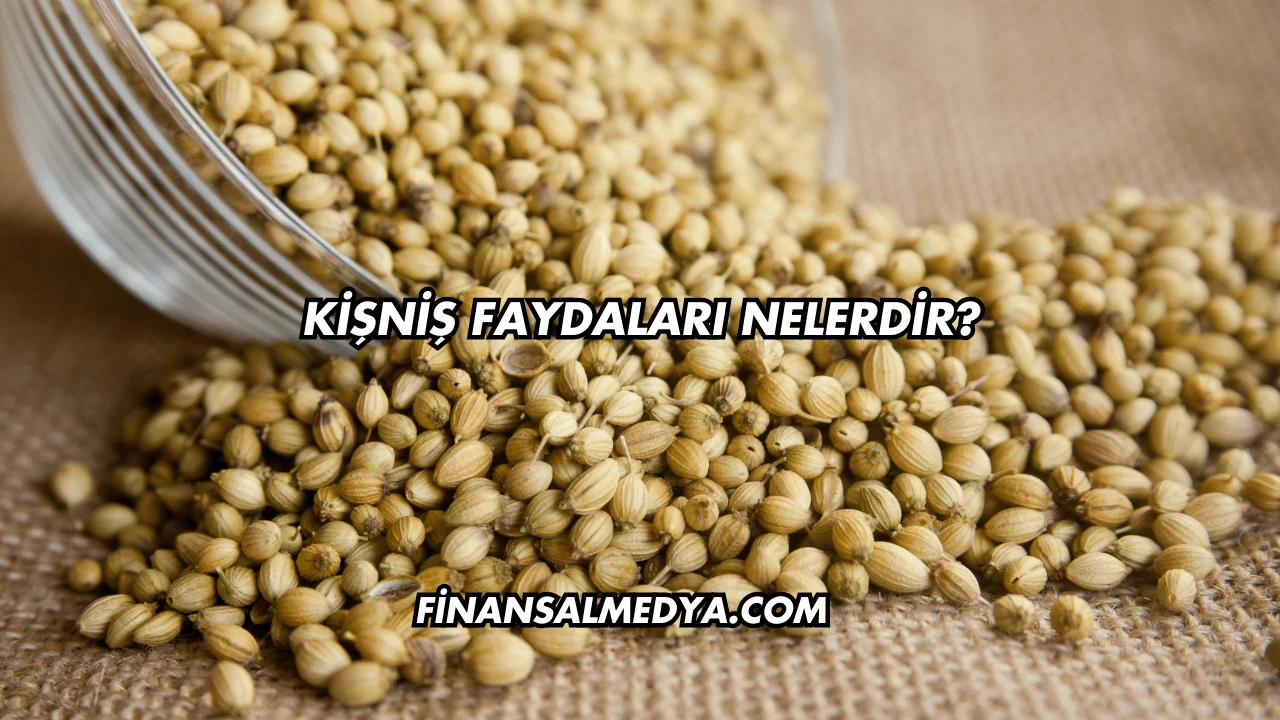 Kişniş Faydaları Nelerdir?