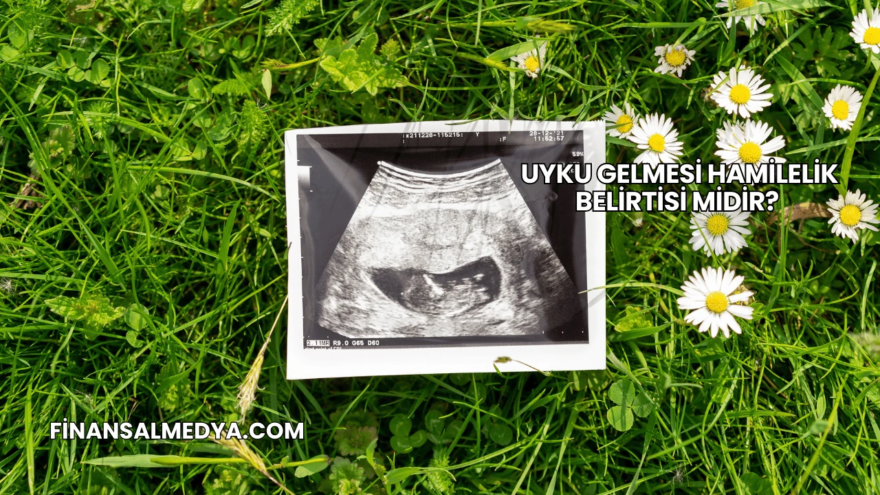Uyku Gelmesi Hamilelik Belirtisi midir?