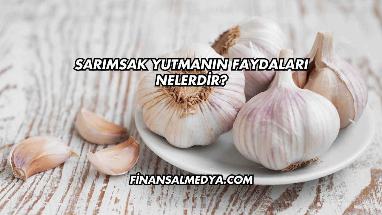 Sarımsak Yutmanın Faydaları Nelerdir?