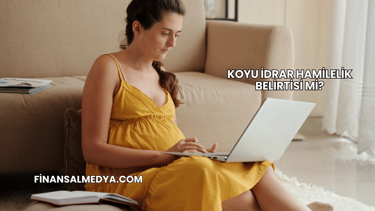Koyu İdrar Hamilelik Belirtisi mi?