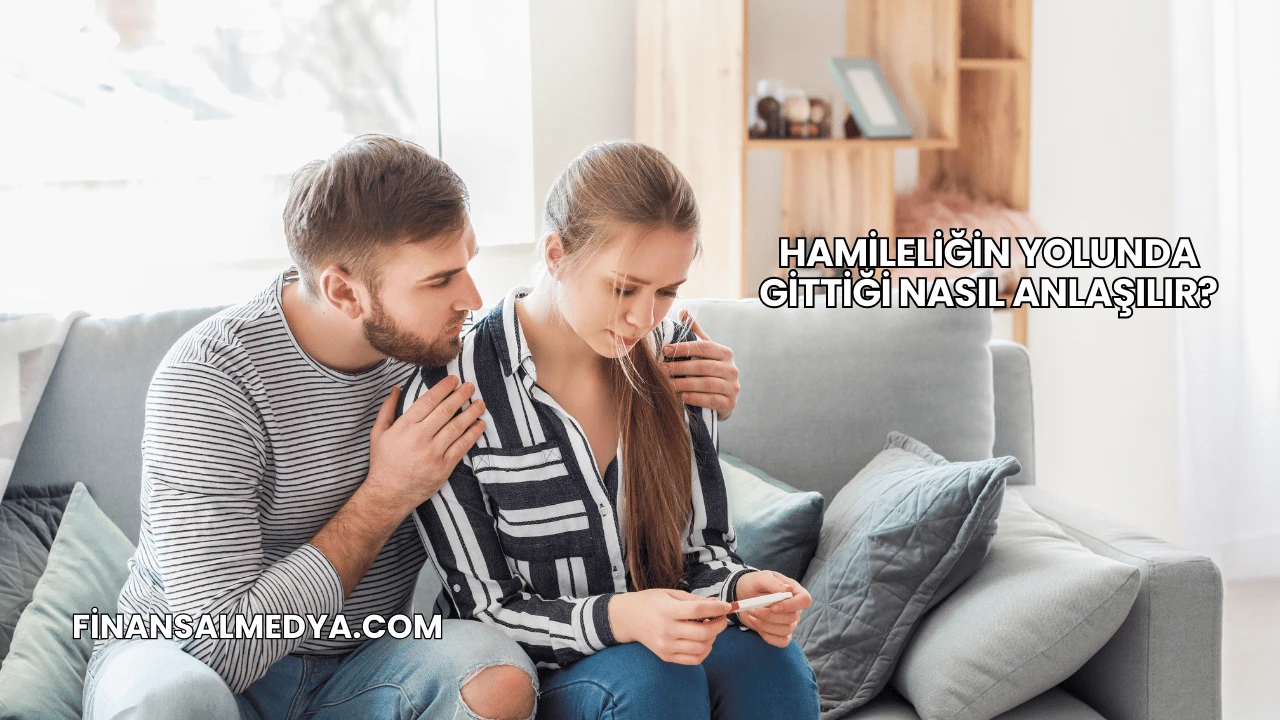 Hamileliğin Yolunda Gittiği Nasıl Anlaşılır?