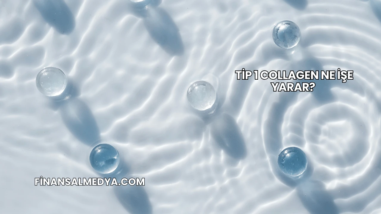 Tip 1 Collagen Ne İşe Yarar?