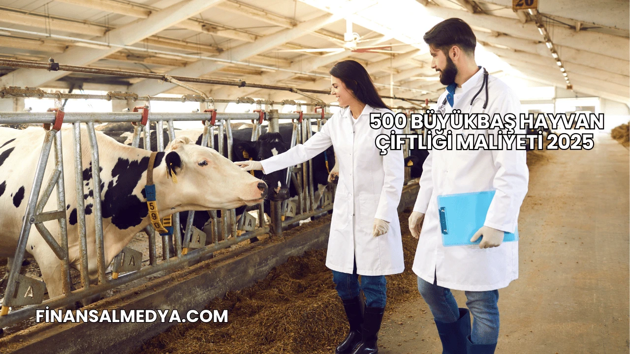 500 Büyükbaş Hayvan Çiftliği Maliyeti 2025