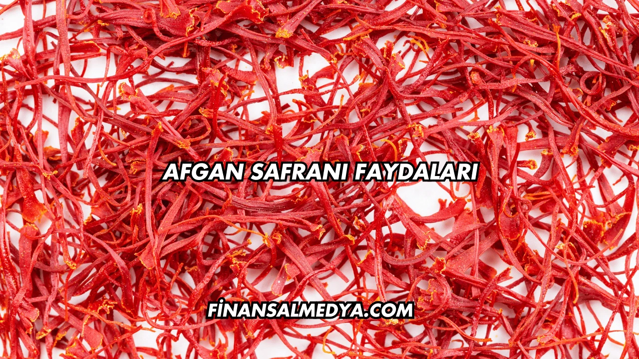 Afgan Safranı Faydaları