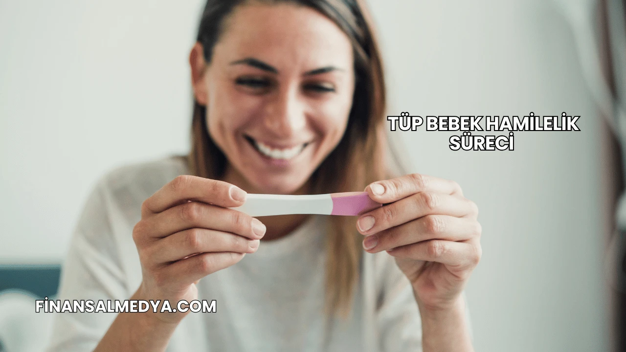 Tüp Bebek Hamilelik Süreci