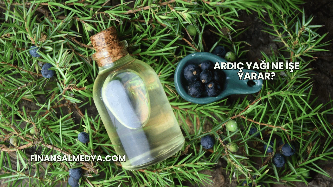 Ardıç Yağı Ne İşe Yarar?