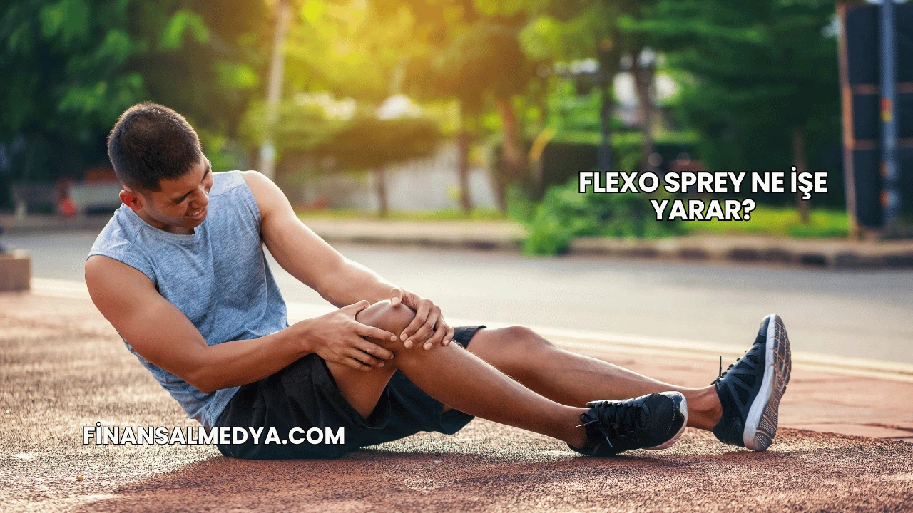 Flexo Sprey Ne İşe Yarar?