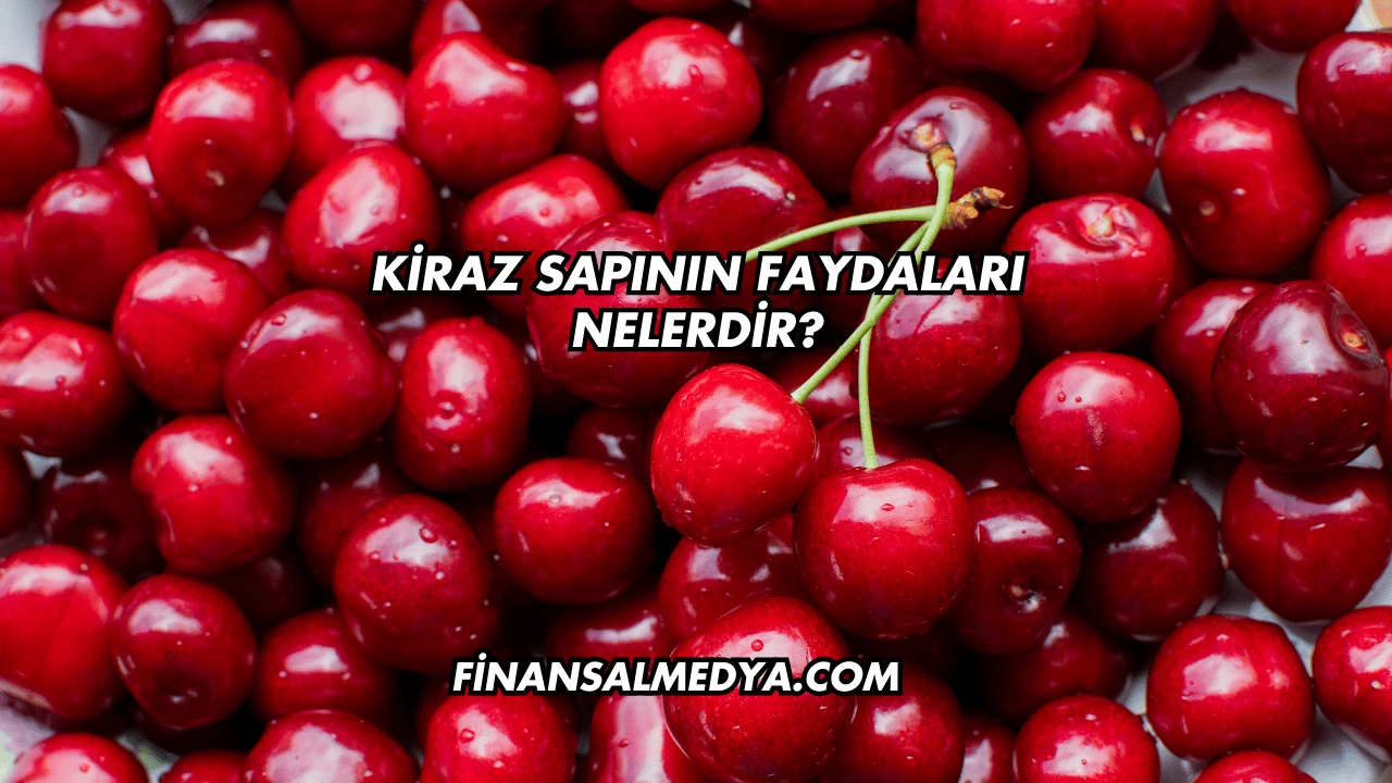 Kiraz Sapının Faydaları Nelerdir?