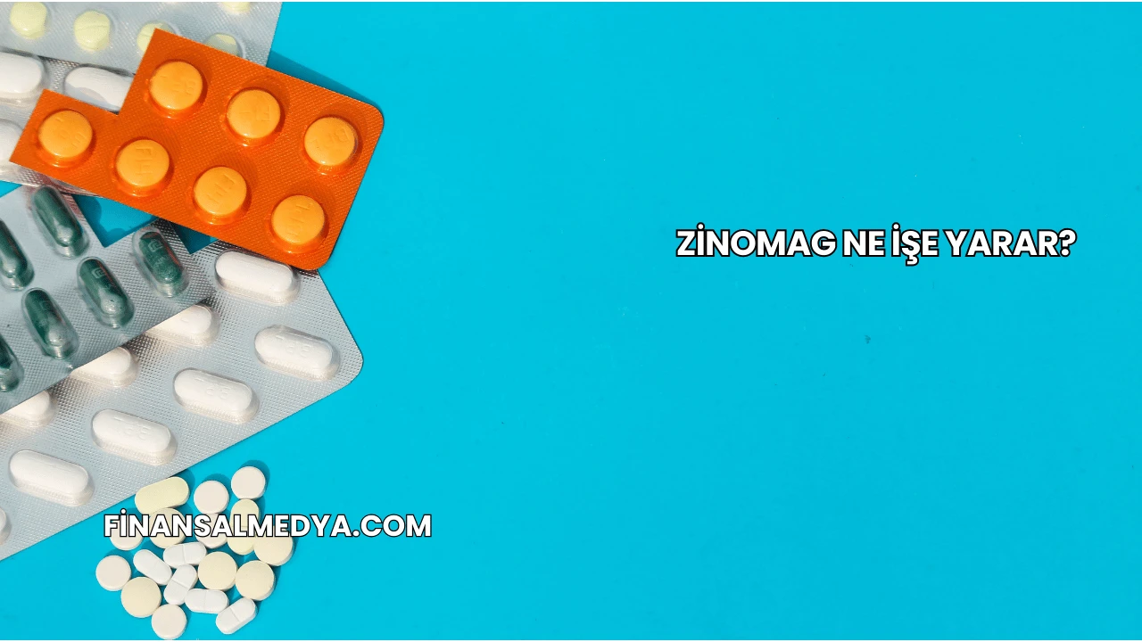 Zinomag Ne İşe Yarar?