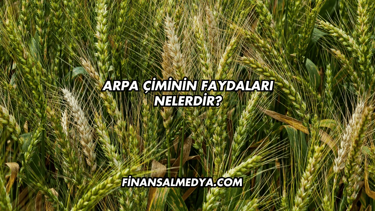 Arpa Çiminin Faydaları Nelerdir?