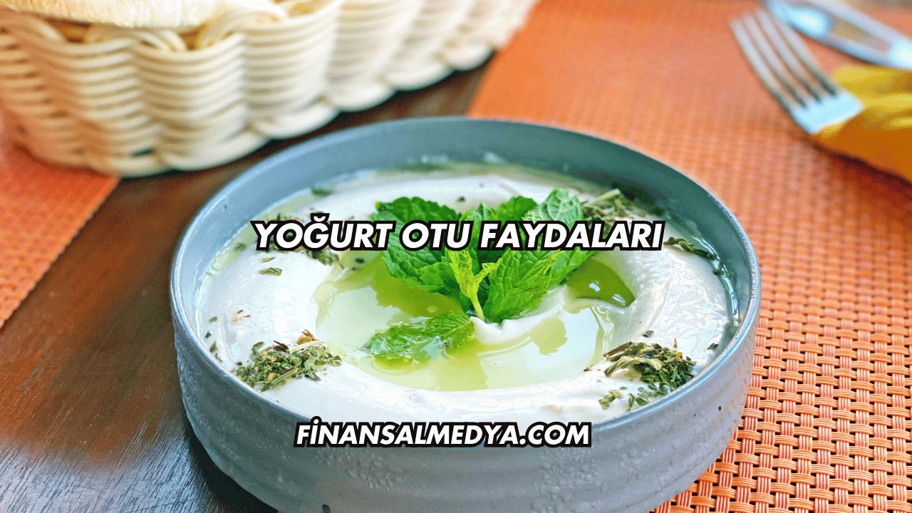 Yoğurt Otu Faydaları