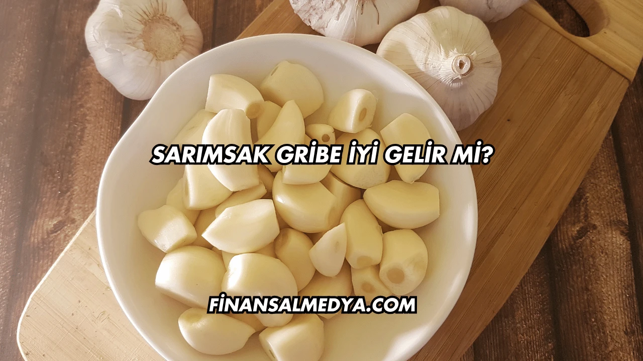 Sarımsak Gribe İyi Gelir mi?