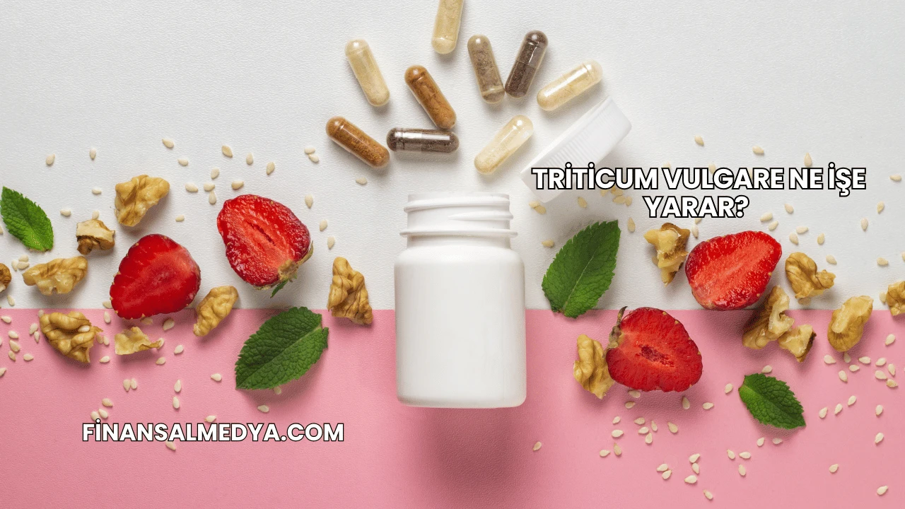 Triticum Vulgare Ne İşe Yarar?