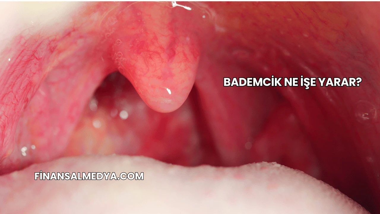 Bademcik Ne İşe Yarar?