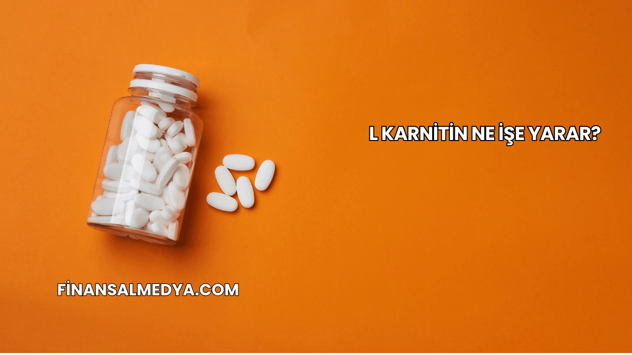 L Karnitin Ne İşe Yarar?