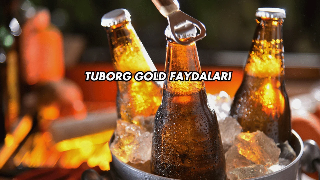 Tuborg Gold Faydaları