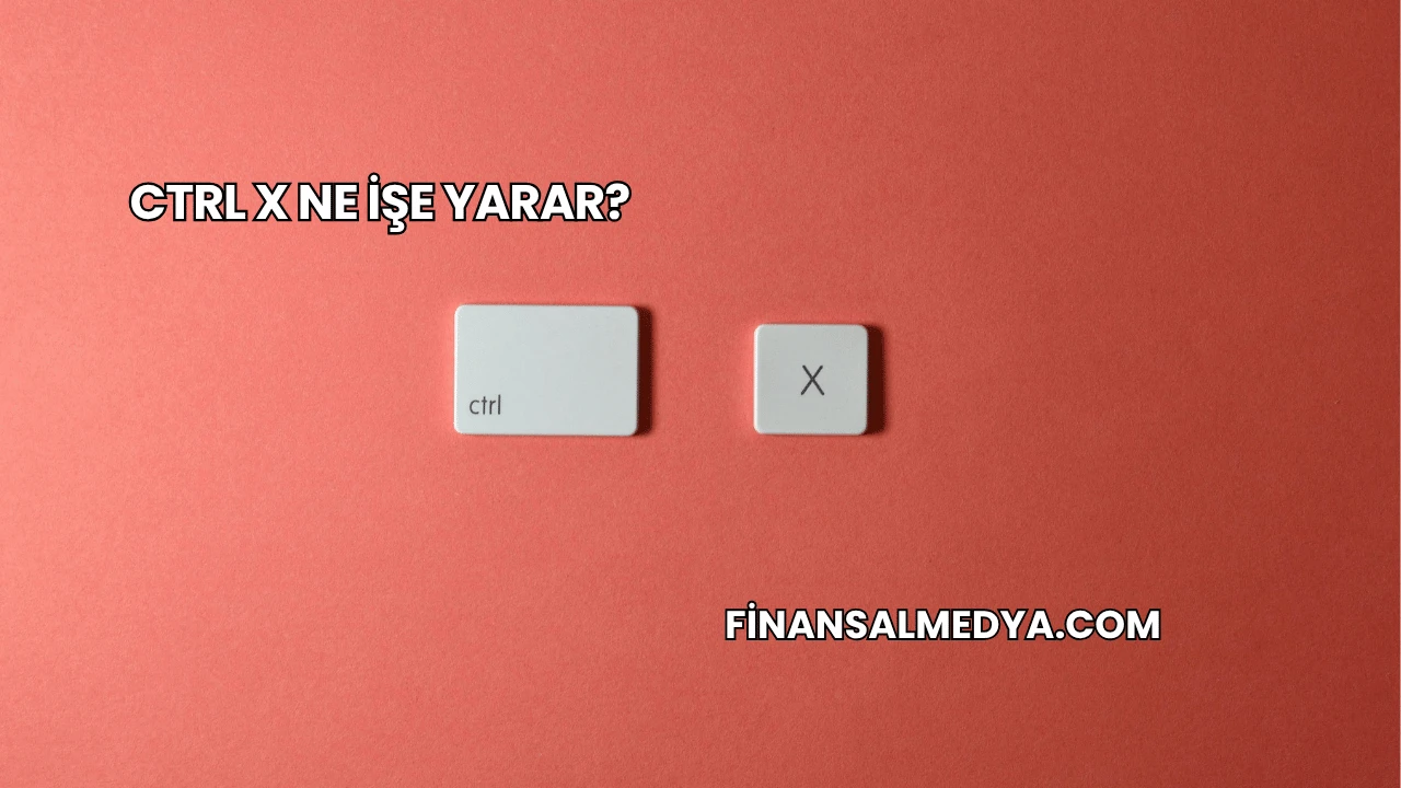 Ctrl X Ne İşe Yarar?